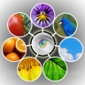 Logo for Reflexology & Relaxation Therapy Camden