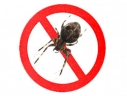 Logo for Pro Pest Adelaide, Pest Control & Termite Experts