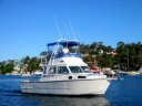 Logo for Deep Sea Fishing Charters & Sydney Coastal Tours