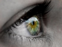Logo for Senio Optometrists