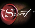 Logo for Successful Business System