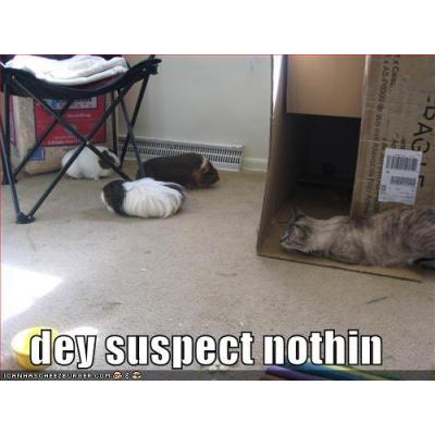 Test Desc 3